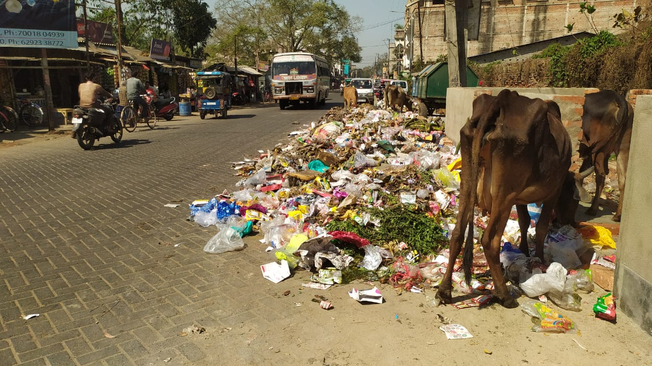 রাস্তায় নেমেছে আবর্জনা, দূষণের অভিযোগ