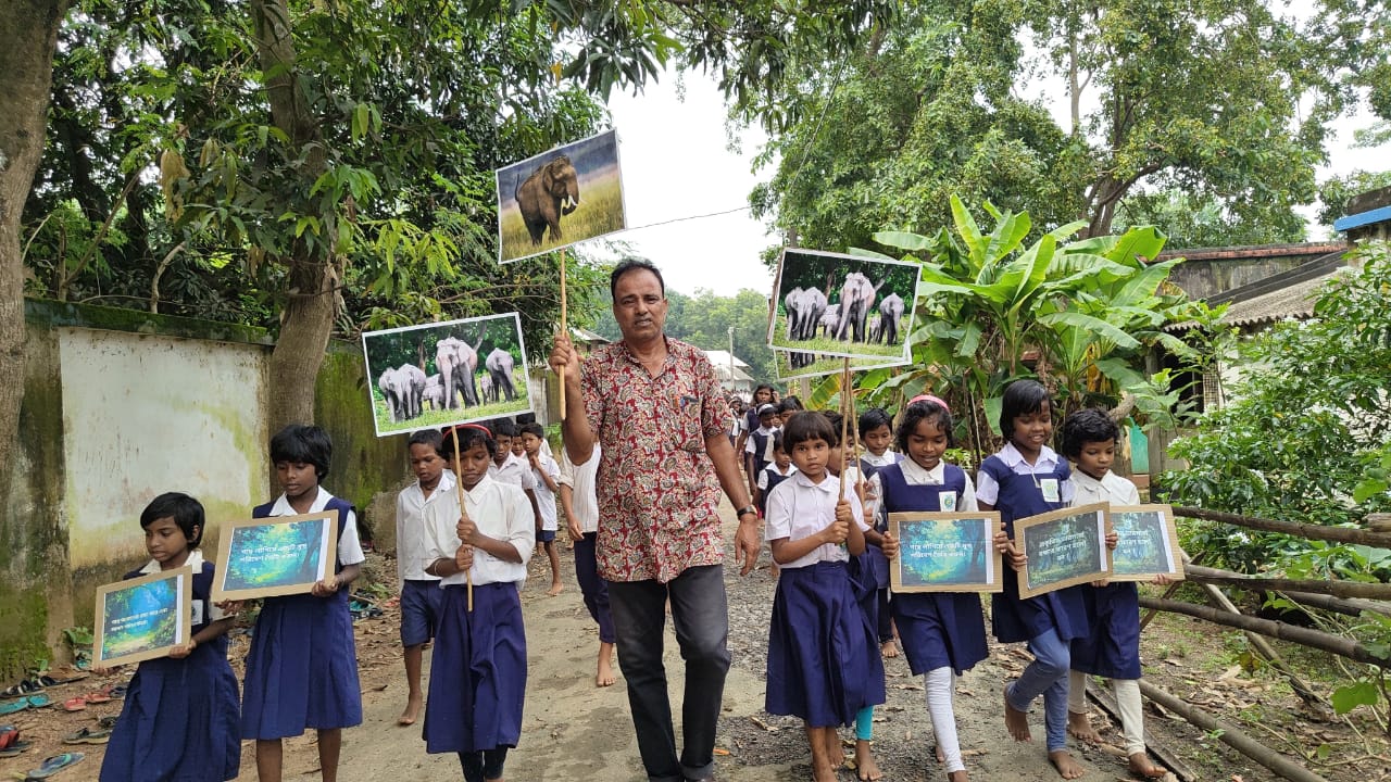 বিশ্ব হাতি দিবস রাইপুরে