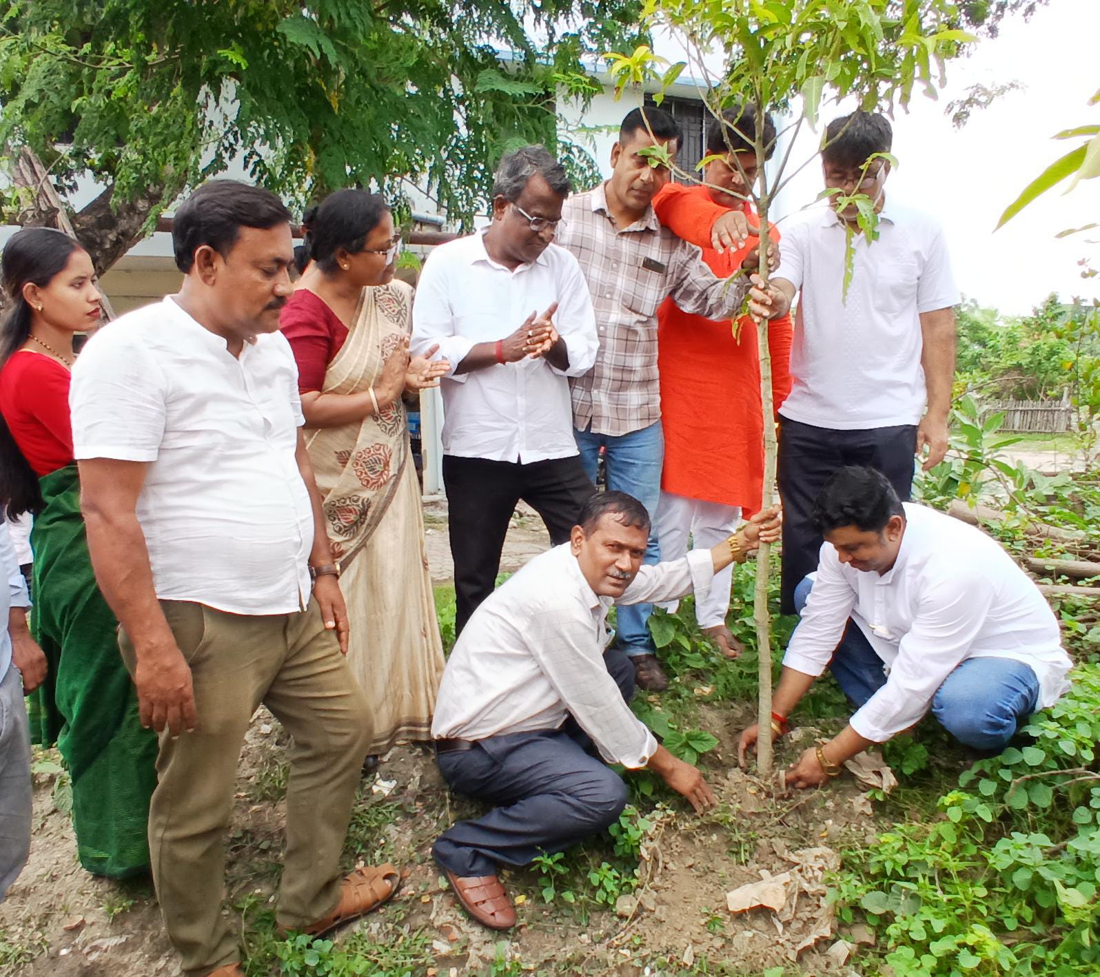 ।। বিশ্ব পরিবেশ দিবসে বসিরহাট জেলা হাসপাতালে চারা রোপণ, সবুজায়নের বার্তা বিজেপি ওবিসি মোর্চার ।।
