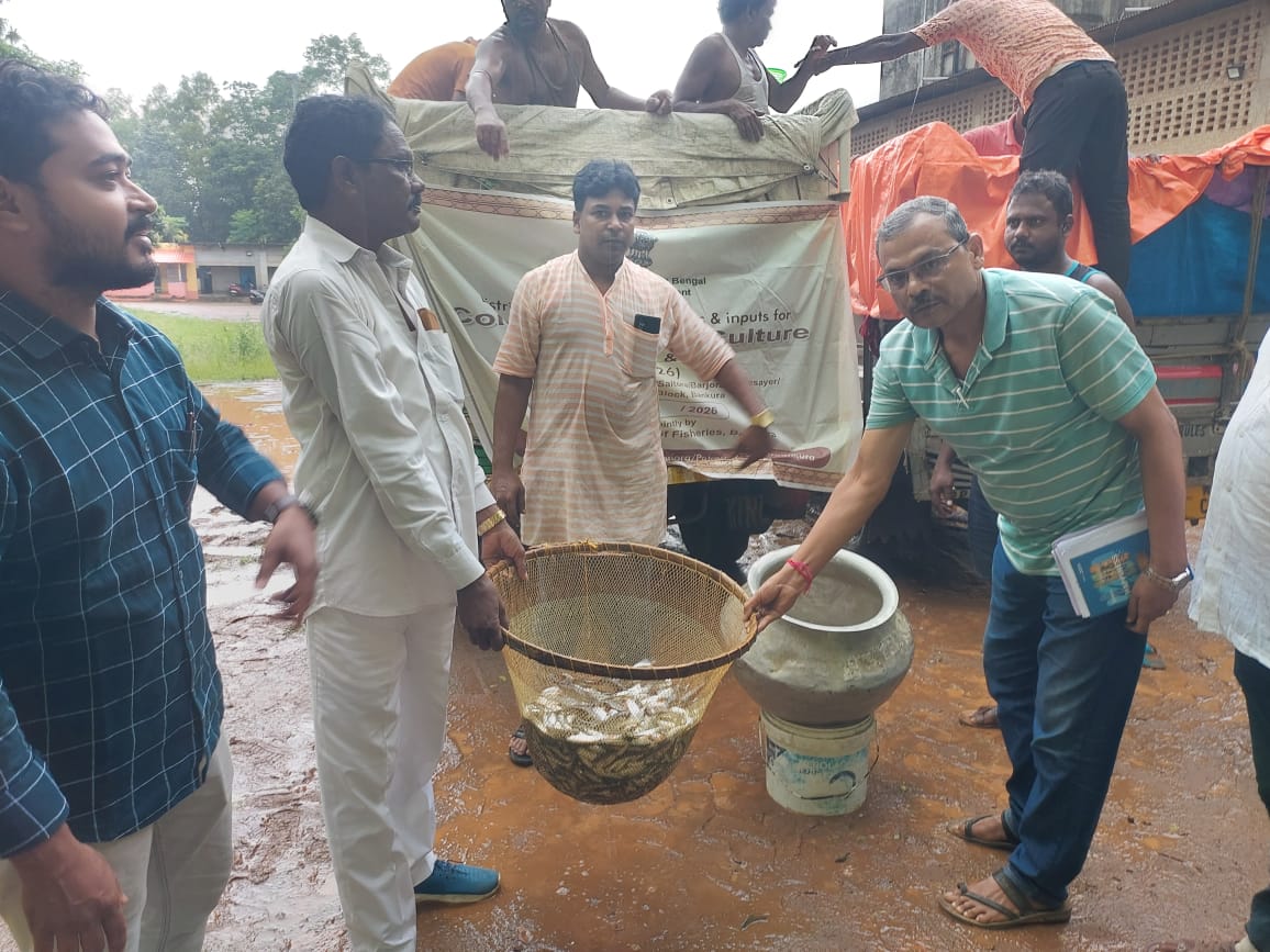 বিধায়কের তত্ত্বাবধানে মৎস্য চাষীদের চারা পোনা বিলি রাইপুরে।
